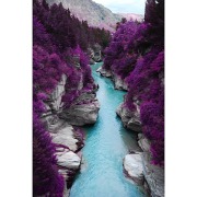 Purple Gorge