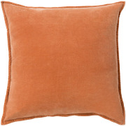 Wilder Velvet Pillow