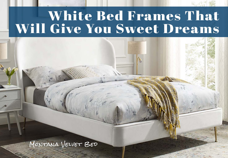 10 Best White Bed Frame Designs for 2022