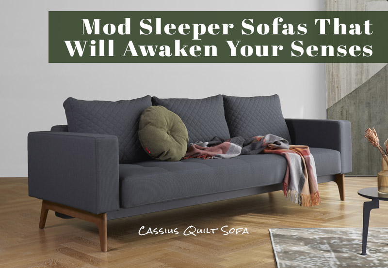 Modern Sleeper Sofa
